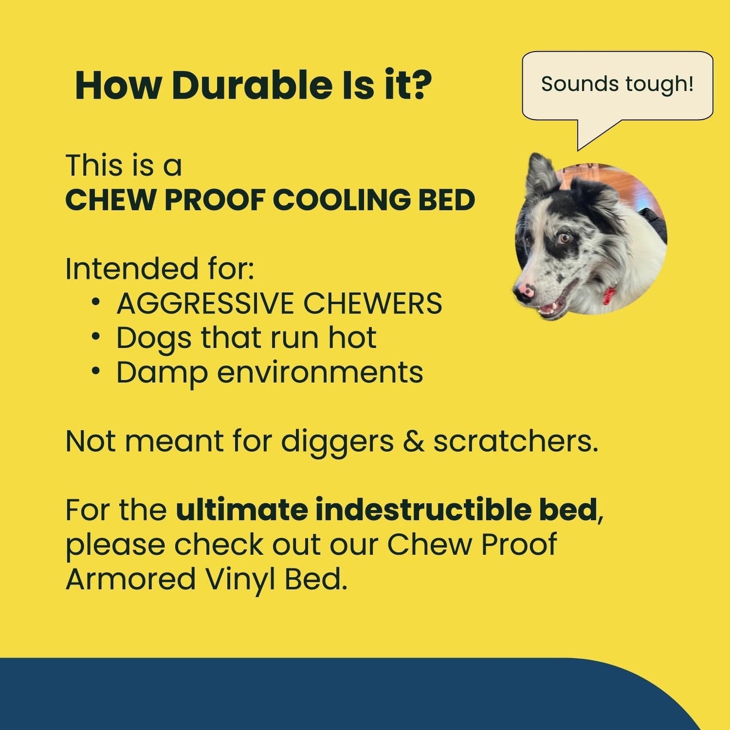 Chew Proof Elevated Cooling Outdoor Cot Bed for Small Dogs & Puppies - Virtually Indestructible, Preassembled, Withstands Aggressive Chewers - S, Black Mesh