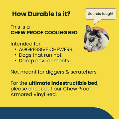 Chew Proof Elevated Cooling Outdoor Cot Bed for Small Dogs & Puppies - Virtually Indestructible, Preassembled, Withstands Aggressive Chewers - S, Black Mesh