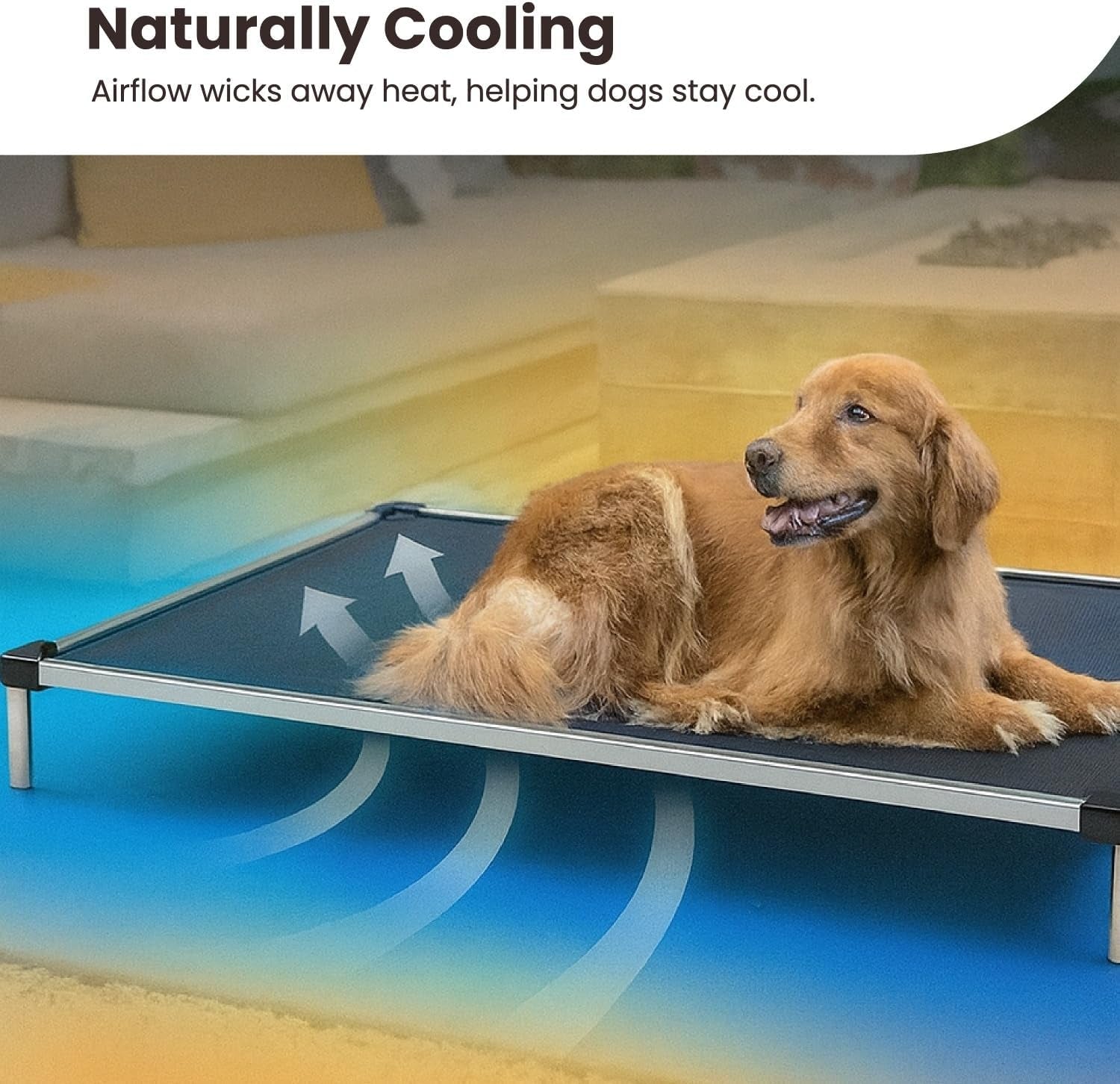Chew Proof Elevated Cooling Outdoor Cot Bed for Small Dogs & Puppies - Virtually Indestructible, Preassembled, Withstands Aggressive Chewers - S, Black Mesh