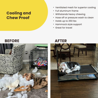 Chew Proof Elevated Cooling Outdoor Cot Bed for Small Dogs & Puppies - Virtually Indestructible, Preassembled, Withstands Aggressive Chewers - S, Black Mesh